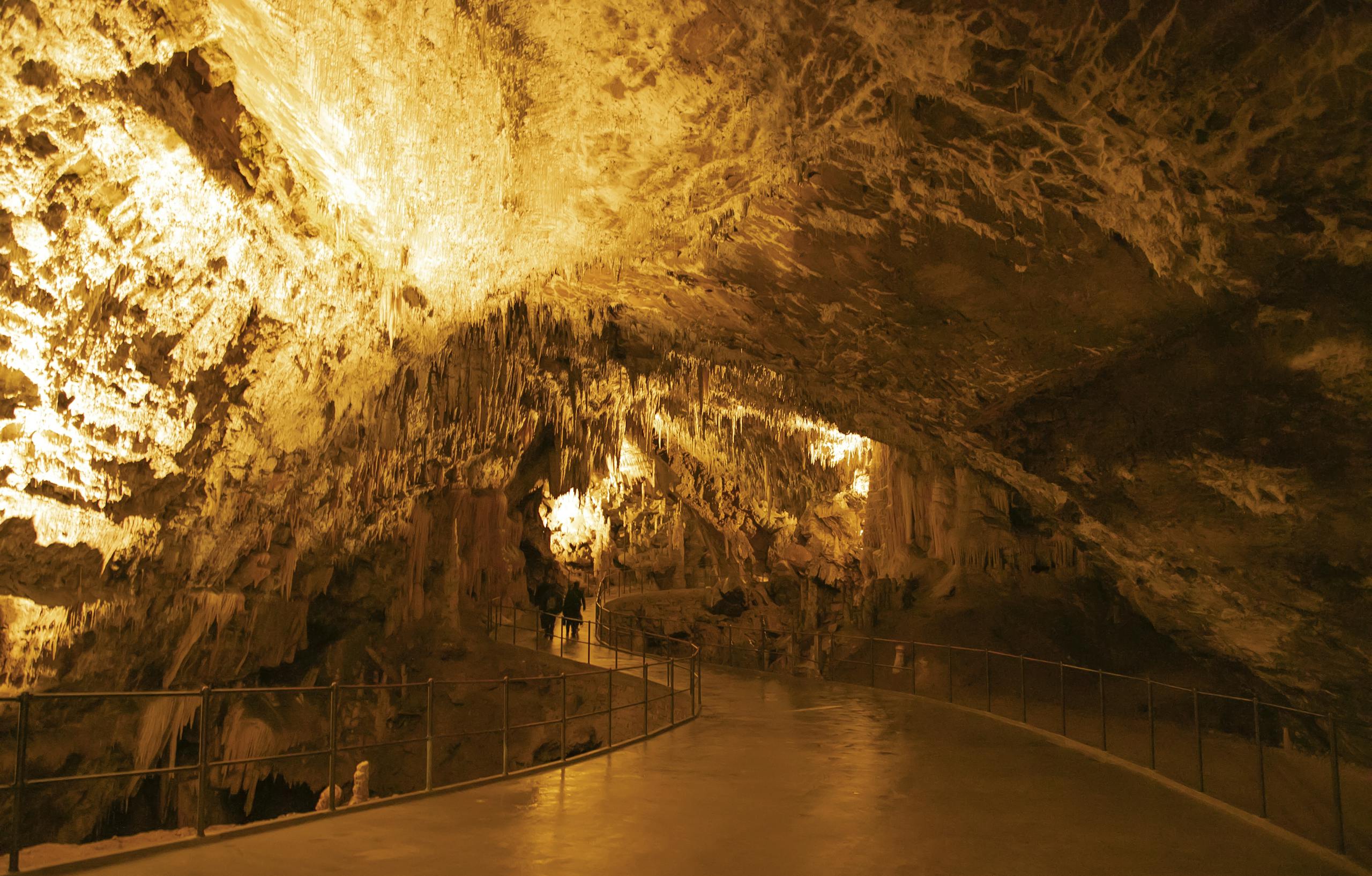 Explore the stunning formations of Postojna Cave in Slovenia, showcasing dramatic stalactites and lighting.