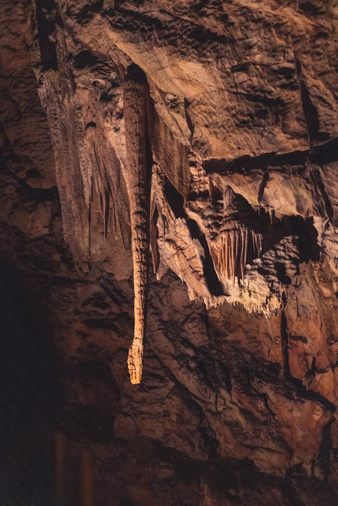 Explore the stunning natural stalactite formations inside Slovenia's Postojna Cave.