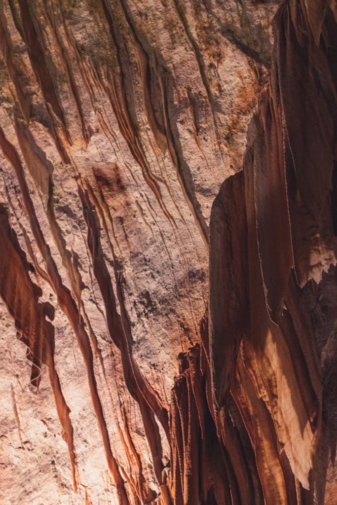 Vertical shot of intricate rock formations inside Postojna Cave, Slovenia.